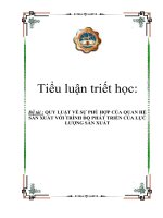 Tiểu luận triết học: QUY LUẬT VỀ SỰ PHÙ HỢP CỦA QUAN HỆ SẢN XUẤT VỚI TRÌNH ĐỘ PHÁT TRIỂN CỦA LỰC LƯỢNG SẢN XUẤT docx