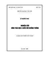nghiên cứu hình thái học u biểu mô buồng trứng