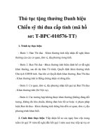 Thủ tục tặng thưởng Danh hiệu Chiến sỹ thi đua cấp tỉnh (mã hồ sơ: T-BPC-010576-TT) potx