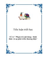 Tiểu luận triết học: Phạm trù nội dung - hình thức và sự phát triển thương hiệu pptx