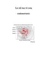 Lạc nội mạc tử cung (endometriosis) ppt