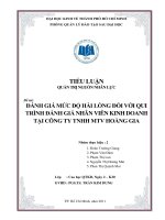 đánh giá mức độ hài lòng đối với quy trình đánh giá nhân viên kinh doanh tại công ty tnhh thương mại hoàng gia