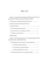 Giải pháp nâng cao hiệu quả quản trị rủi ro tín dụng tại ngân hàng thương mại cổ phần Hàng hải Việt Nam chi nhánh Hồ Chí Minh