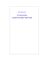 ĐỀ CƯƠNG BÀI GIẢNG CƠ SỞ VĂN HÓA VIỆT NAM - Chương 1 ppt
