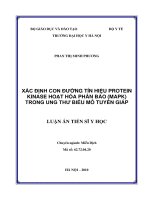 xác định con đường tín hiệu protein kinase hoạt hóa phân bào (mapk) trong ung thư biểu mô tuyến giáp