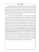 Tiểu luận phần 1 - PHÂN TÍCH NGUỒN VỐN CTY CP XÂY DỰNG VÀ DU LỊCH BÌNH MINH pot