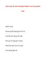 Cảm nhận về ''''''''phú sông Bạch Đằng'''''''' của Trương HánSiêu pot