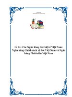 Đề tài: Các Ngân hàng đặc biệt ở Việt Nam: Ngân hàng Chính sách xã hội Việt Nam và Ngân hàng Phát triển Việt Nam pps