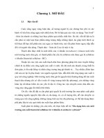 Luận văn : Đa dạng hóa các môi trường sản xuất bacterial cellulose từ vi khuẩn Acetobacter xylinum part 1 ppsx