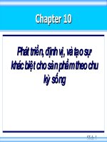 SLIDE - Phát triển, định vị, và tạo sự khác biệt cho sản phẩm theo chu kỳ sống potx
