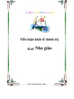 Tiểu luận triết học: Nho giáo ppsx