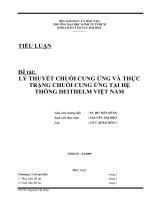 lý thuyết chuỗi cung ứng và thực trạng chuỗi cung ứng tại hệ thống kho hàng deitheim việt nam