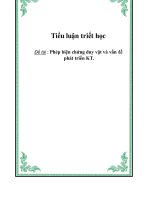 Tiểu luận triết học: Phép biện chứng duy vật và vấn đề phát triển KT ppt