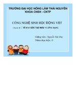 Luận văn Tế bào máu và ứng dụng