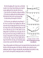 Bài giảng nguyên lý cắt gọt gỗ : Lực và hình thái phoi trong cắt gọt cơ bản part 5 potx