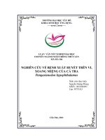 Nghiên cứu về bệnh xuất huyết trên vi, xoang miệng của cá tra