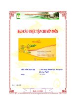 Tìm hiểu quy trình công nghệ sản xuất kẹo mềm tại nhà máy bánh kẹo mềm quảng ngãi   biscafun thuộc công ty cổ phần đường quảng ngãi