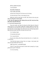 Luận văn tốt nghiệp: Việt Nam và những biện pháp để đẩy mạnh việc xuất khẩu sang các nước EU phần 2 ppsx