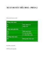 XUẤT HUYẾT TIÊU HOÁ – PHẦN 2 potx