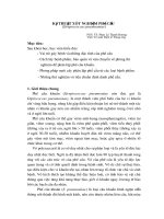 Xét nghiệm phế cầu (.pneumoniae)