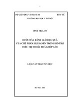 bước đầu đánh giá hiệu quả của chế phẩm glusamin trong hỗ trợ điều trị thoái hoá khớp gối