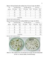 Luận văn : NGHIÊN CỨU KHẢ NĂNG CHUYỂN NẠP GEN CỦA HAI GIỐNG BÔNG VẢI SSR60F VÀ COKER 312 BẰNG VI KHUẨN Agrobacterium tumefaciens part 6 ppt