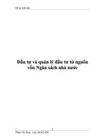 Đầu tư và quản lý đầu tư từ nguồn vốn Ngân sách nhà nước ppt