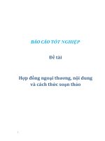 Đề tài: Hợp đồng ngoại thương, nội dung và cách thức soạn thảo doc