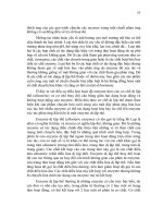 Hóa Enzyme - Phân Tích Phân Tử Enzyme Phần 9 pptx