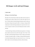 Sốt Dengue và sốt xuất huyết Dengue pptx