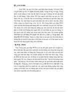 Luận văn tốt nghiệp: Những thách thức đối với Việt Nam trong việc xuất khẩu khi Trung Quốc gia nhập WTO phần 6 ppsx