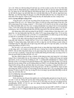 Giáo trình : CÔNG NGHỆ SẢN XUẤT MÌ CHÍNH VÀ CÁC SẢN PHẨM LÊN MEN CỔ TRUYỀN part 4 potx