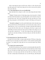 Luận văn : PHÂN TÍCH ĐA DẠNG DI TRUYỀN MỘT SỐ MẪU NẤM Corynespora cassiicola (Berk. & Curt.) Wei GÂY BỆNH TRÊN CÂY CAO SU (Hevea brasiliensis Muell. Arg.) BẰNG PHƯƠNG PHÁP RFLP – PCR part 3 potx