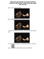 Giáo trình hướng dẫn sử dụng transfrom selection để tạo layer mask trong việc ghép ảnh vào nền p1 ppt
