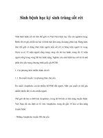 Sinh bệnh học ký sinh trùng sốt rét doc