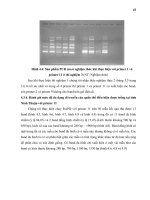 Luận văn : Đánh giá sơ bộ mức độ đa dạng di truyền của quần thể điều (Acanardium occidentale L.) hiện được trồng tại tỉnh Ninh Thuận bằng kỹ thuật RAPD và AFLP part 5 ppsx