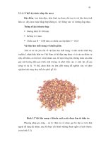 Luận văn : Nghiên cứu sản xuất acid acetic theo phương pháp lên men nhanh bằng nguồn nguyên liệu tự nhiên part 6 ppt