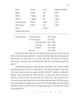 Luận văn : XÁC ĐỊNH GEN GÂY ĐỘC VÀ TÍNH ĐA DẠNG DI TRUYỀN CỦA NẤM Metarrhizium anisopliae KÝ SINH TRÊN CÔN TRÙNG part 8 docx