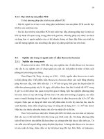 Luận văn : Khuếch đại vùng gen ITS1 - 5,8 S - ITS2 các nguồn nấm Beauveria basiana có tính độc cao part 3 docx