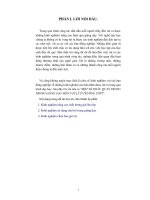 Sáng kiến kinh nghiệm 