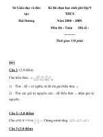 Kì thi chọn học sinh giỏi lớp 9 THCS Năm 2008 – 2009 Môn thi : Toán tỉnh Hải Dương đề 1 pdf