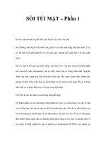 SỎI TÚI MẬT – Phần 1 pptx