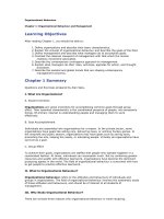 Organizational Behaviour Summary ppt