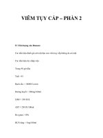 VIÊM TỤY CẤP – PHẦN 2 docx