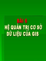 BÀI 6: HỆ QUẢN TRỊ CƠ SỞ DỮ LIỆU CỦA GIS pdf