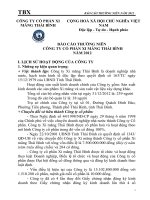 báo cáo thường niên công ty cổ phần xi măng thái bình năm 2012
