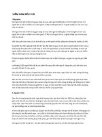 VIÊM GAN SIÊU VI B potx