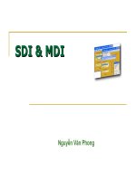 Lập trình windows C# - SDI & MDI pps