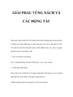 GIẢI PHẨU VÙNG NÁCH VÀ CÁC ĐỘNG TÁC pot