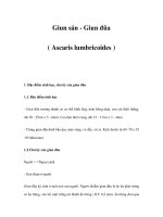 Giun sán - Giun đũa ( Ascaris lumbricoides ) pot